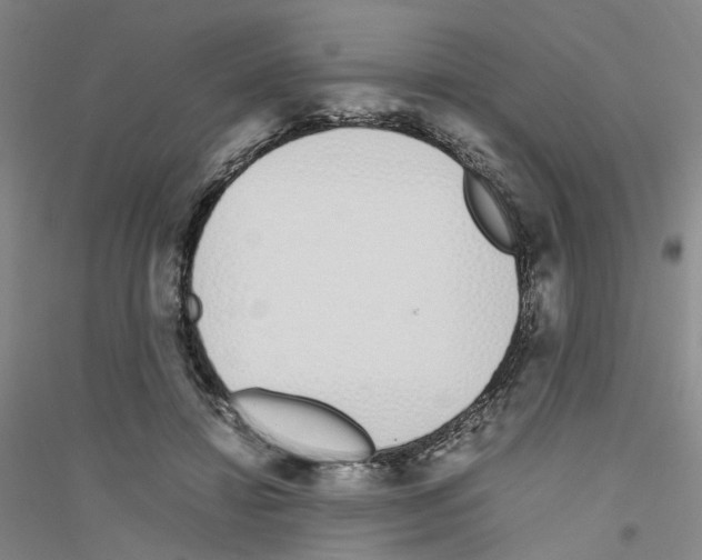 X0000116820452201001291625