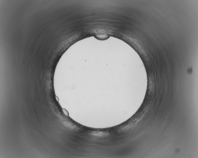 X0000116820453201001291625