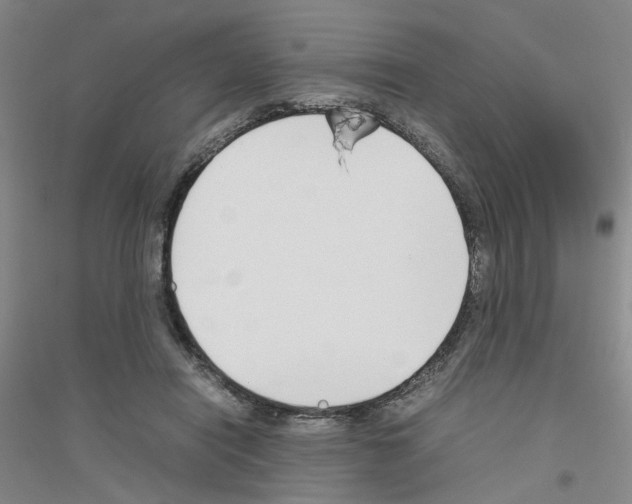 X0000116820454201001291625