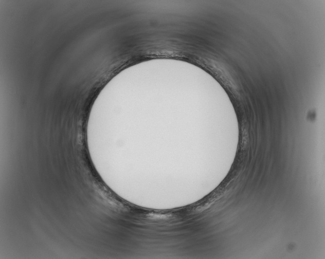 X0000116820457201001291626