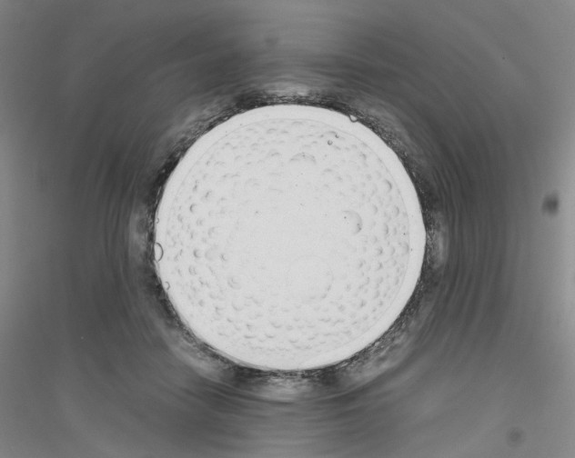 X0000116820458201001291626