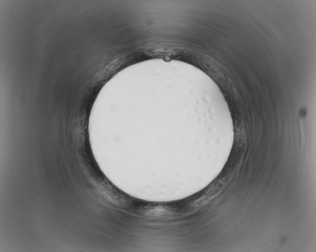 X0000116820460201001291626