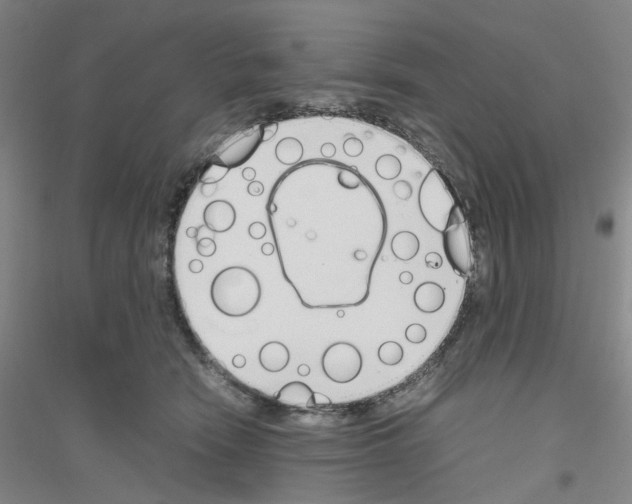 X0000116820466201001291626