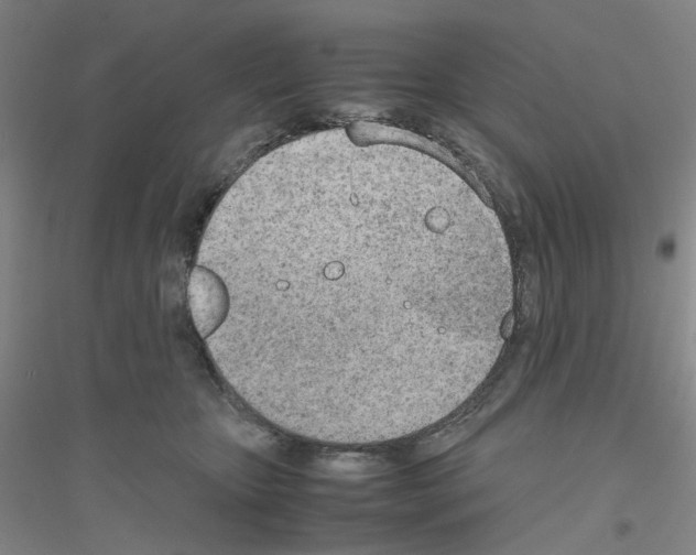 X0000116820467201001291626