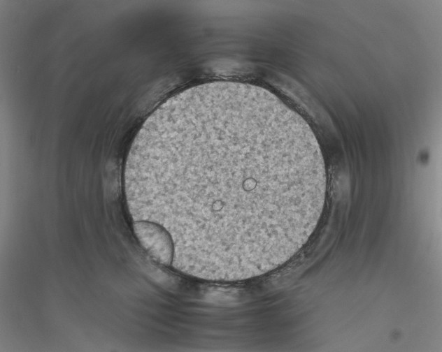 X0000116820471201001291626