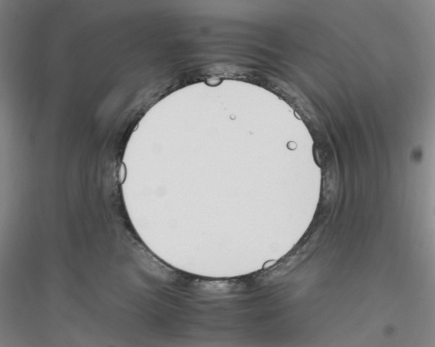 X0000116820473201001291626