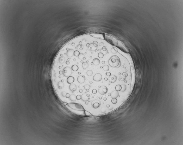 X0000116820474201001291626