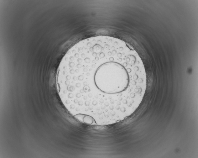 X0000116820478201001291626