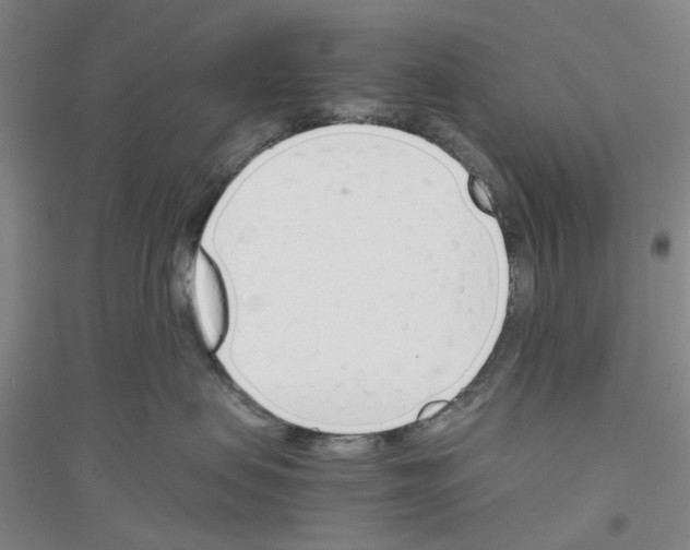 X0000116820479201001291626