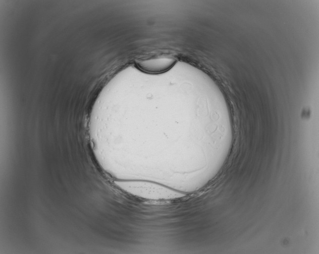 X0000116820480201001291626