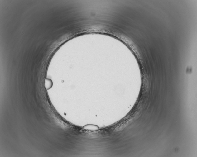 X0000116820481201001291625