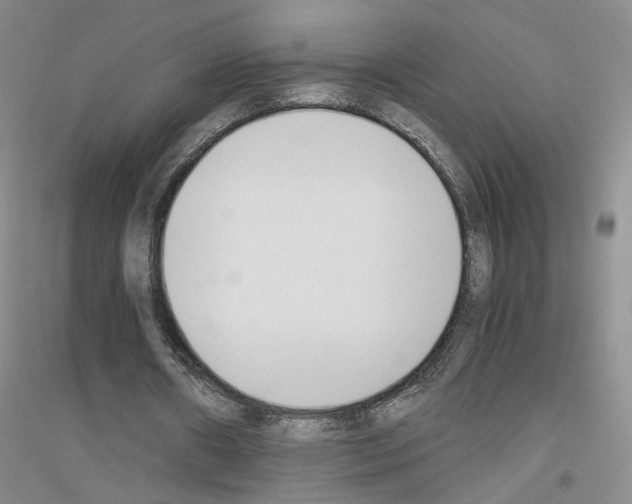 X0000116820482201001291625