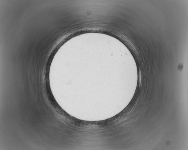 X0000116820483201001291625