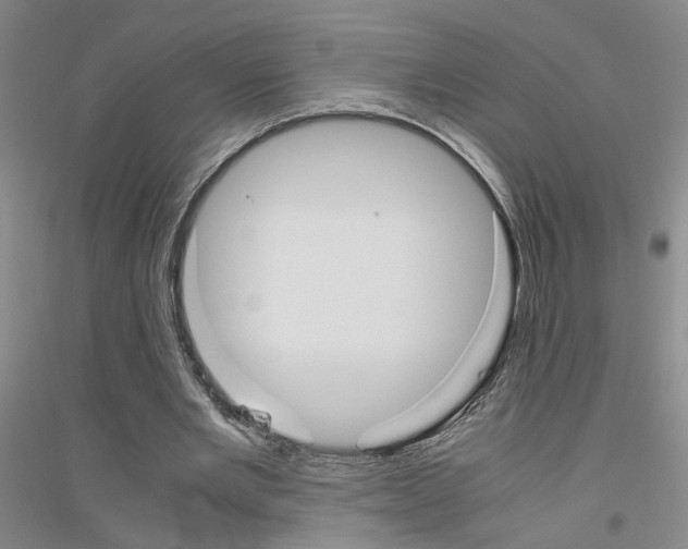 X0000116820485201001291625