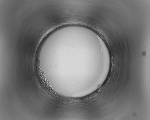 X0000116820488201001291625