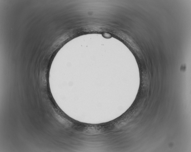 X0000116820489201001291625