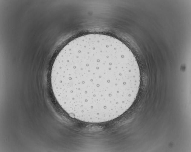 X0000116820491201001291625