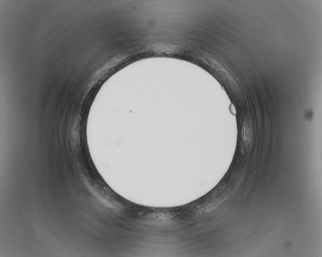 X0000116820492201001291625