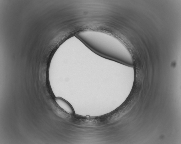 X0000116820493201001291625