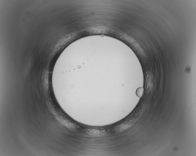 X0000116820494201001291625