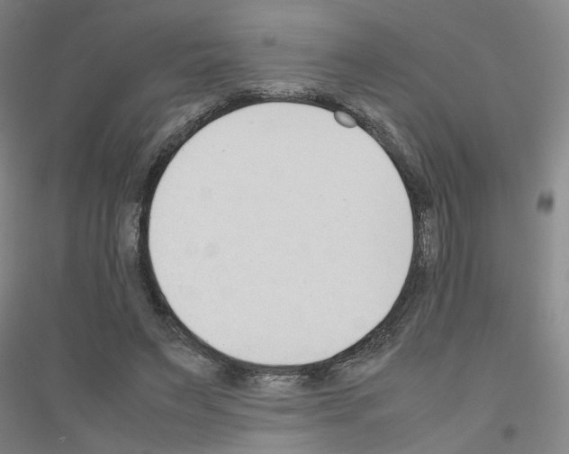 X0000116820495201001291625