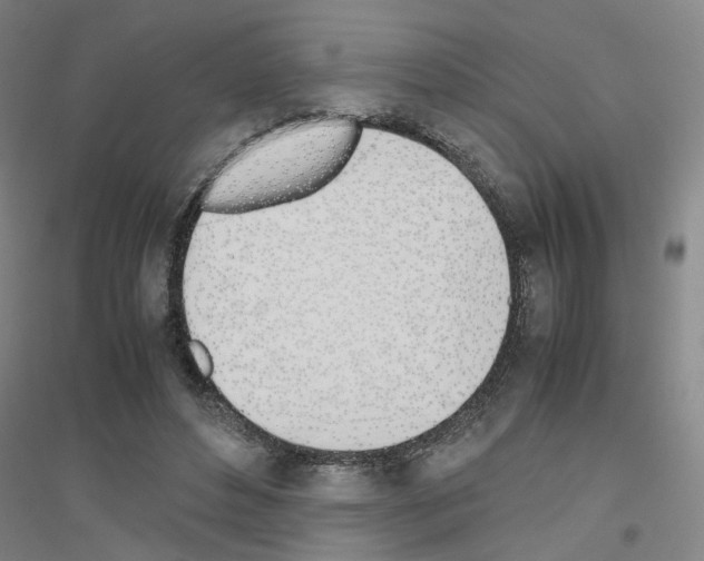 X0000116820496201001291625