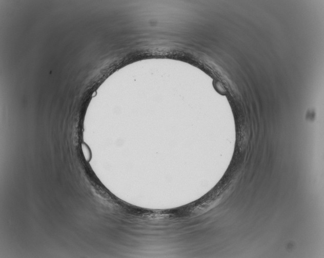 X0000116820497201001291625