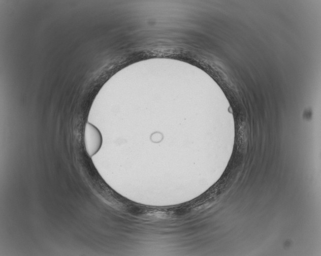 X0000116820499201001291625