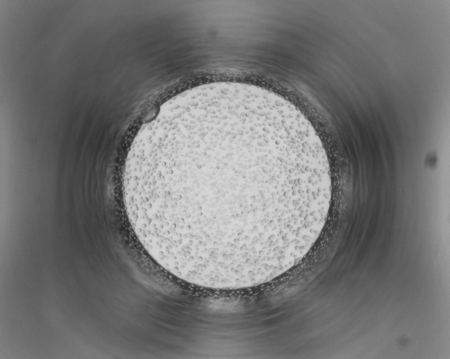 X0000116820500201001291625