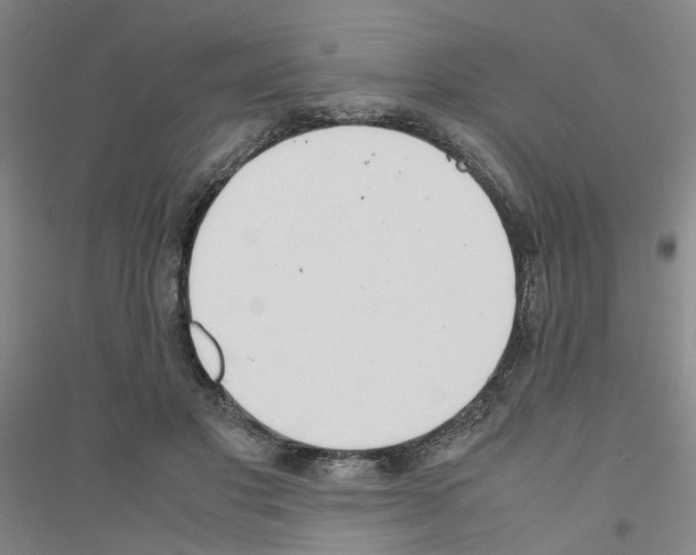 X0000116820501201001291625