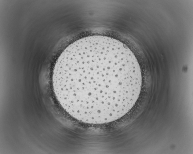 X0000116820502201001291625