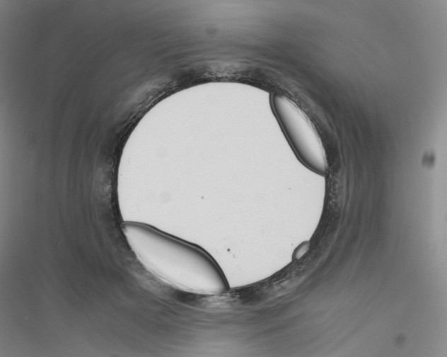 X0000116820505201001291625