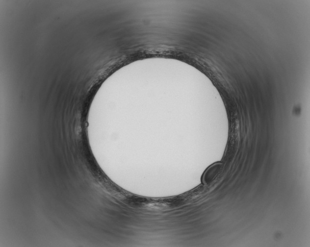 X0000116820508201001291625