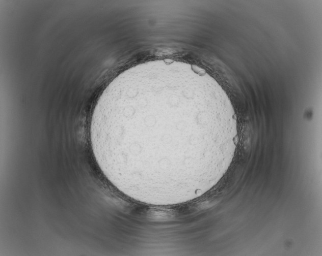 X0000116820510201001291625