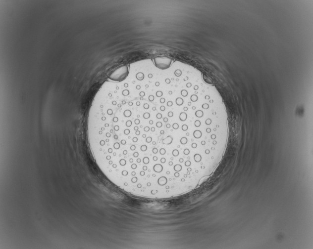 X0000116820511201001291625