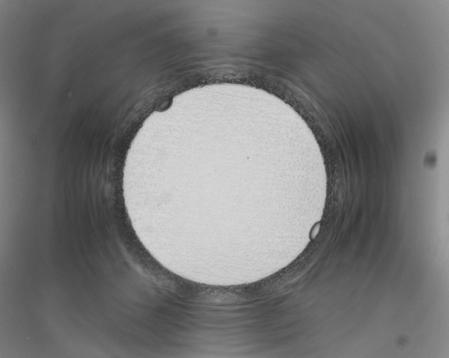 X0000116820512201001291625