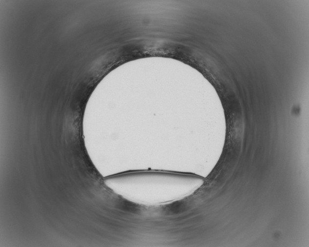 X0000116820513201001291625