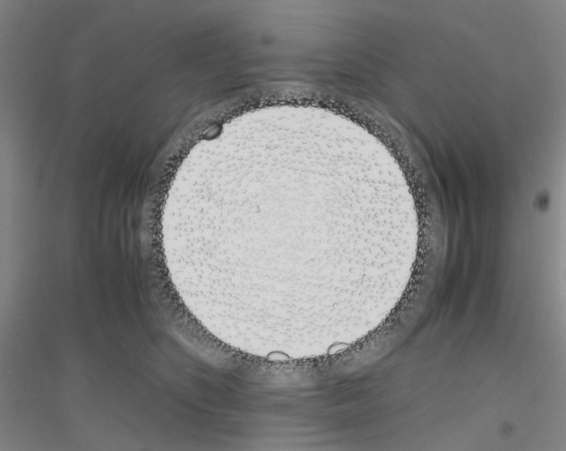 X0000116820516201001291625