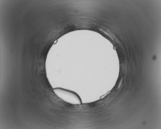 X0000116820517201001291625