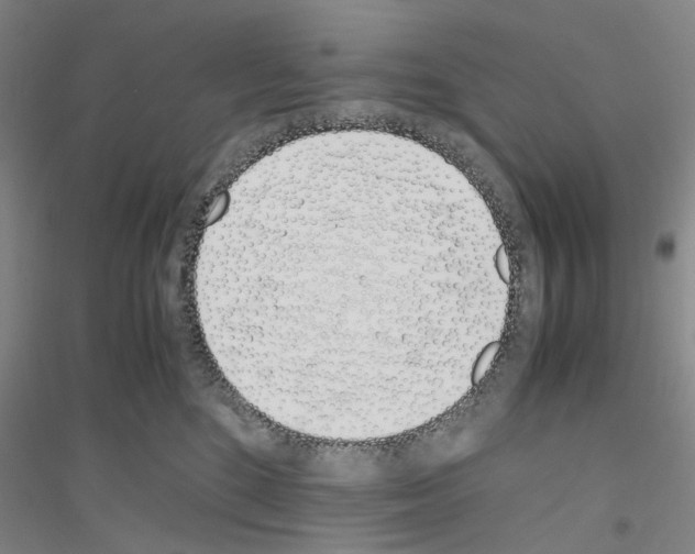 X0000116820520201001291625