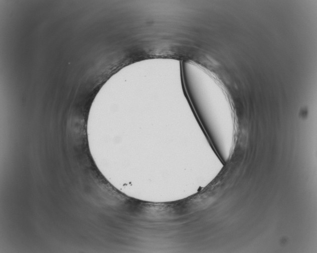 X0000116820521201001291625