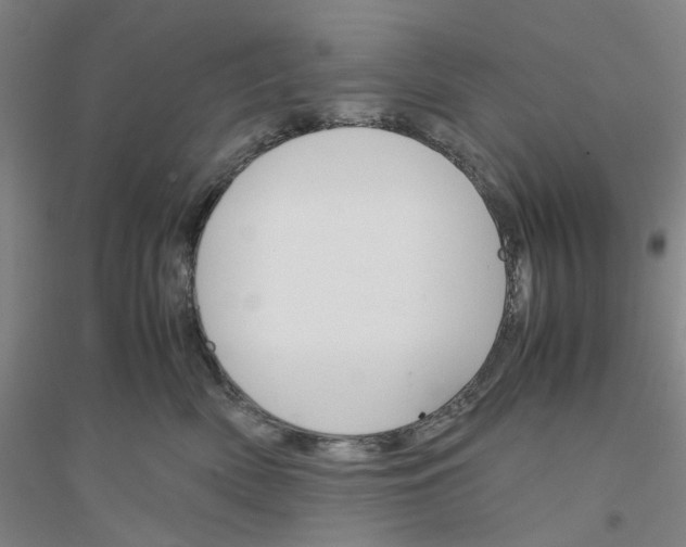 X0000116820522201001291625