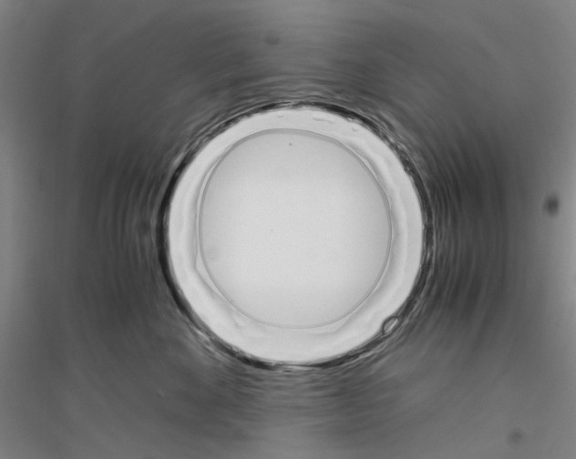 X0000116820524201001291625