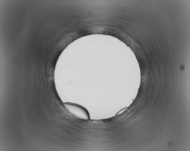 X0000116820525201001291625