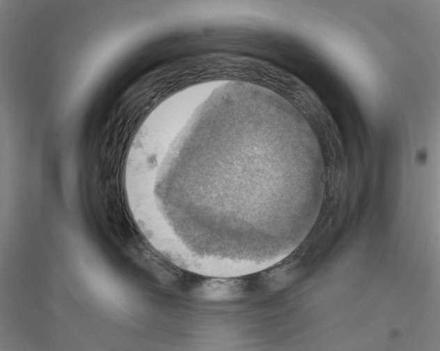 X0000116820526201001291625