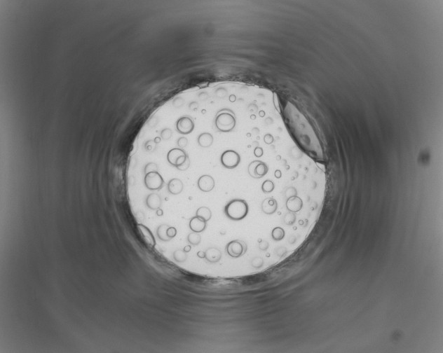 X0000116820527201001291625