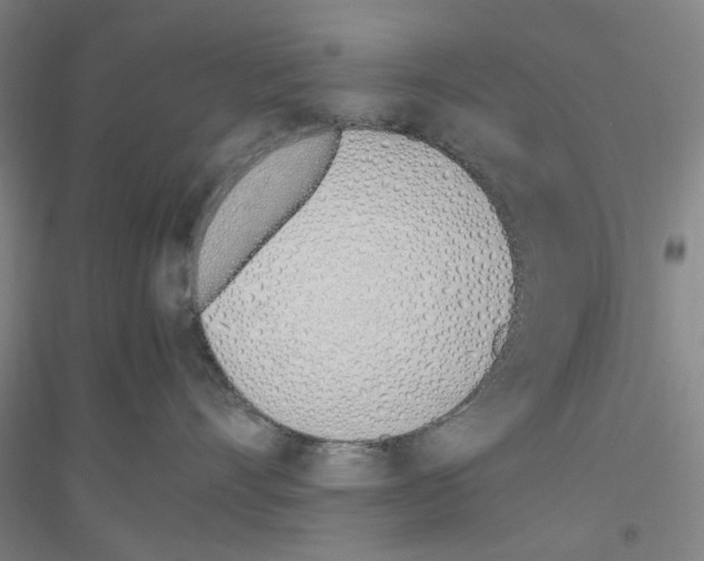 X0000116820528201001291625