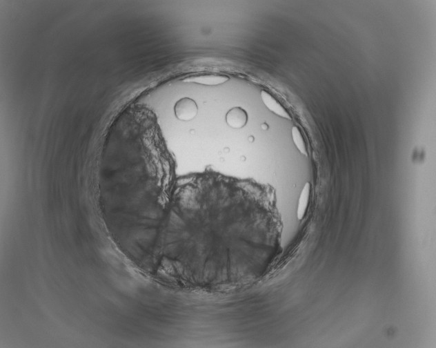 X0000116820529201001291624