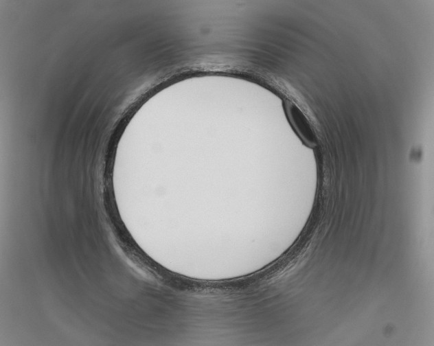 X0000116820530201001291624