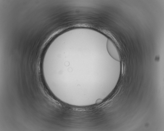 X0000116820531201001291624